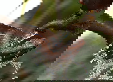 运动医学创新治疗方案